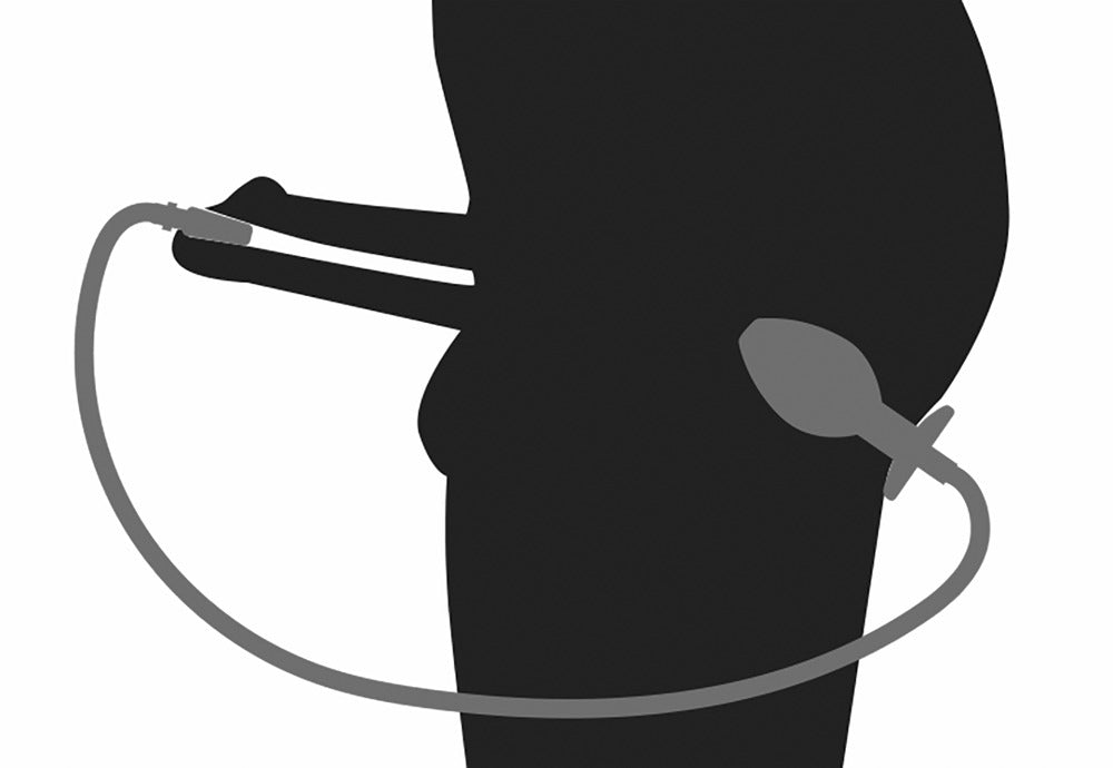 PenisPlug Piss To Ass Plug