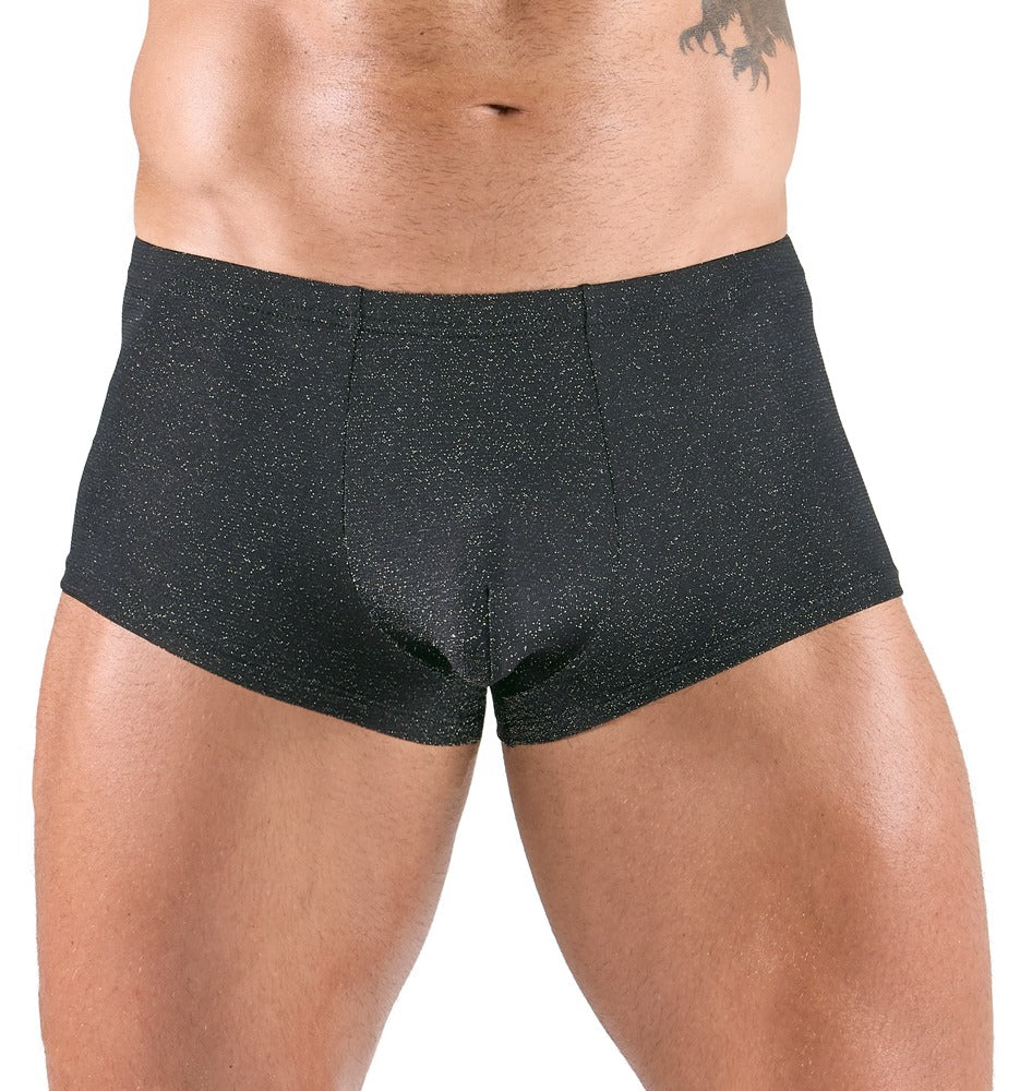H.Pants silver XL