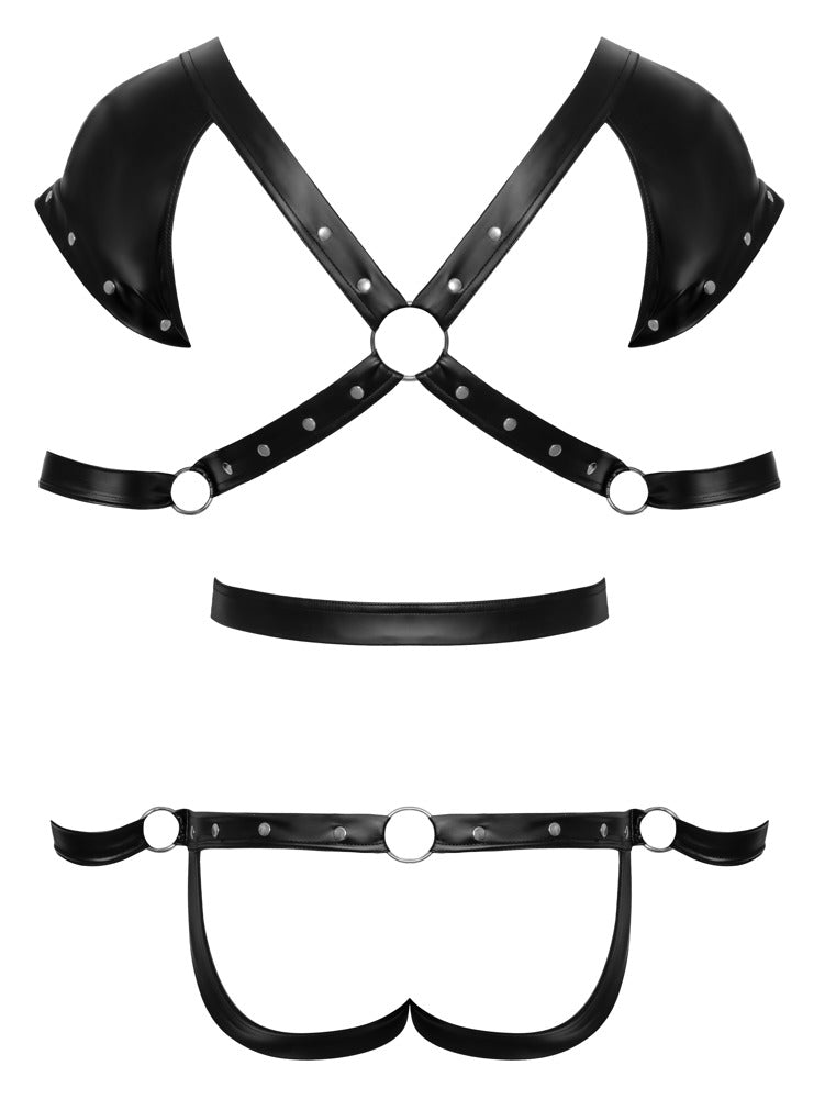 Herren Harnessbody M