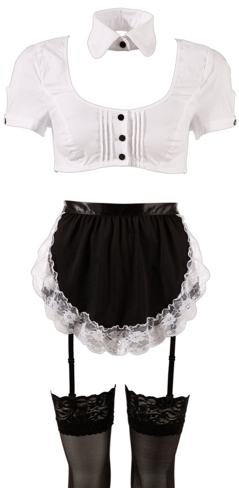 Servier Set L