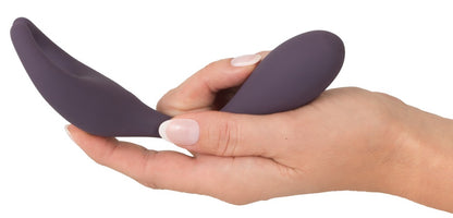 Couples Choice RC Couples Vibrator