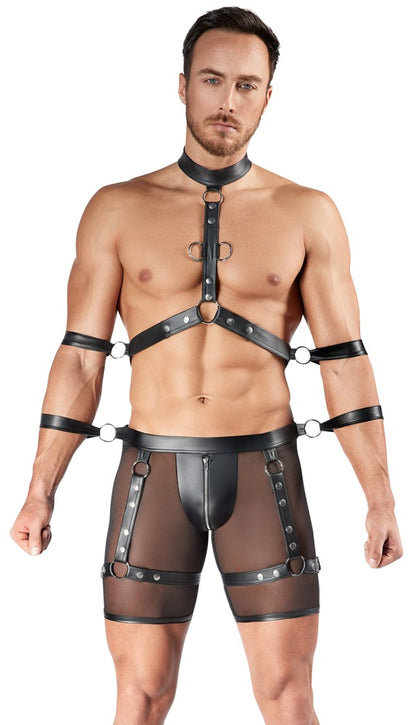 Herren Harness und Pants L