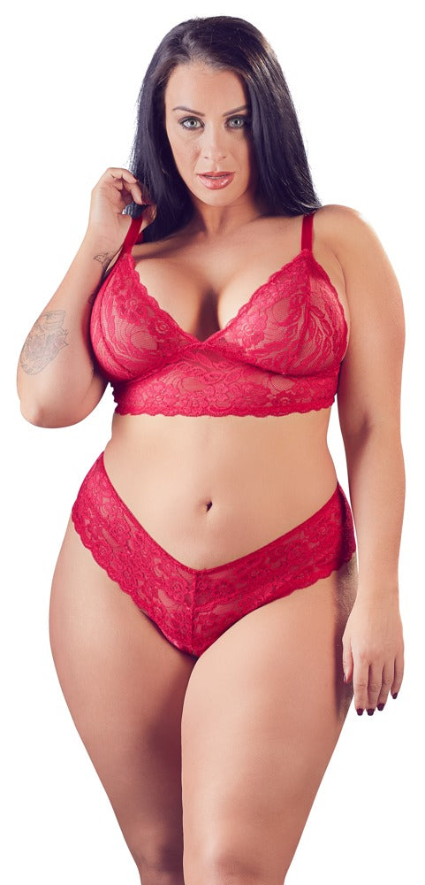 BH und Rio rot 3XL