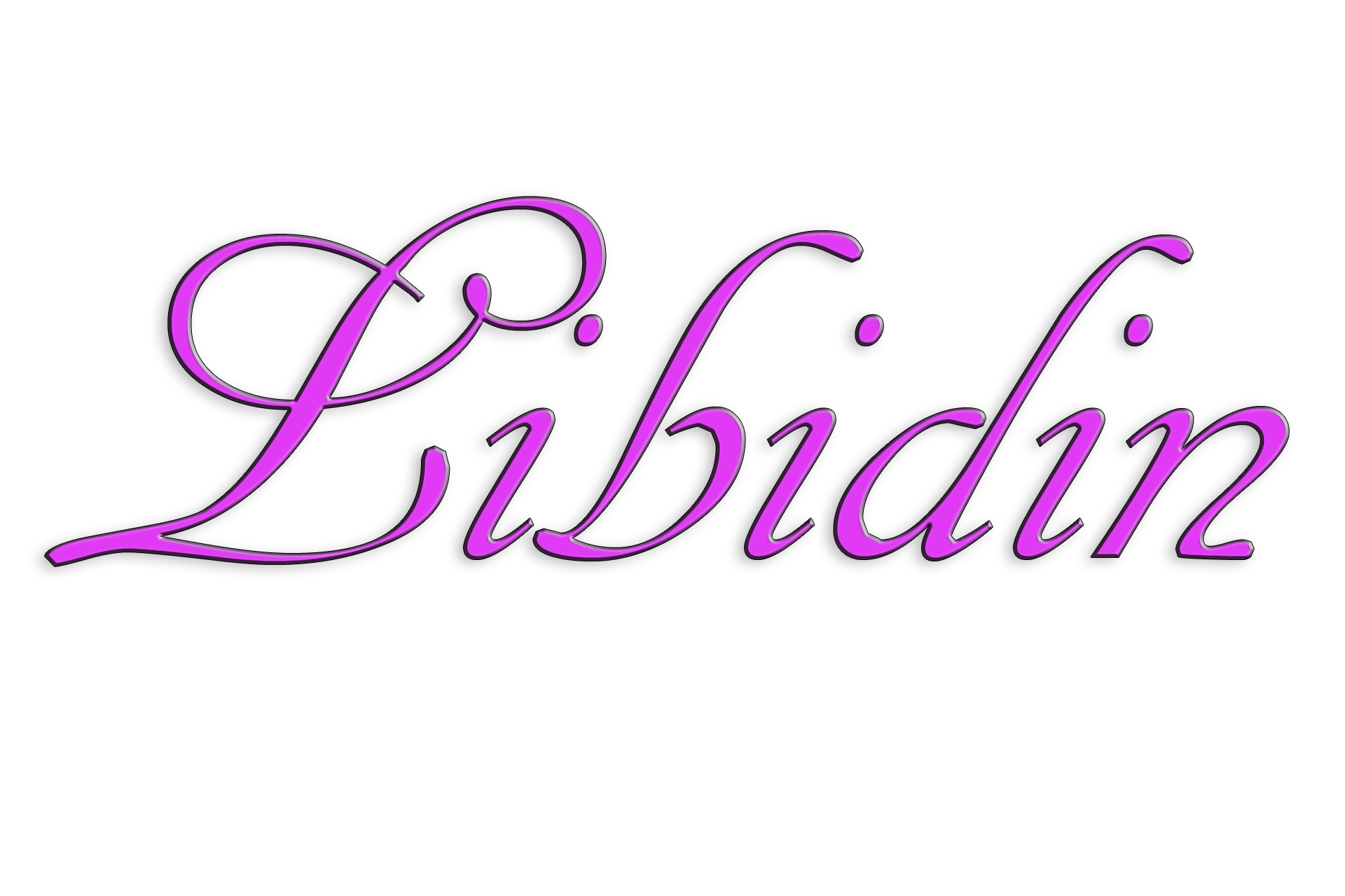 Libidin Logo in einer elegantschen Schrift in kraftvoller Lila-Farbe.